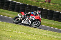 brands-hatch-photographs;brands-no-limits-trackday;cadwell-trackday-photographs;enduro-digital-images;event-digital-images;eventdigitalimages;no-limits-trackdays;peter-wileman-photography;racing-digital-images;trackday-digital-images;trackday-photos